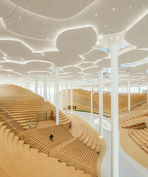 beijing city library by snøhetta opens to the public, revealing sculpted 'hills' and 'valleys'