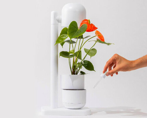 moss’ self-watering lamp can grow plants and herbs on its own while lighting up spaces