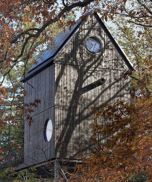 shaped like a bird house, i29 architects' forest folly hides amid treetops in the netherlands