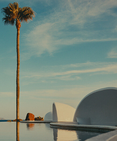 cavernous canopies frame canary islands ocean views through the lens of david altrath