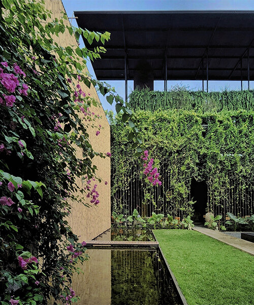 bamboo screens, glass, and climbing plants engulf 'the vibes' complex in vietnam